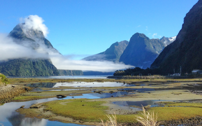 Why I’m focusing on Jacinda Ardern in 2026